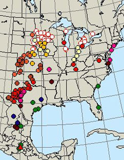 monarch butterfly migration journey north