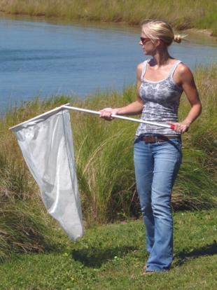 Becky catching monarchs Becky Bartel